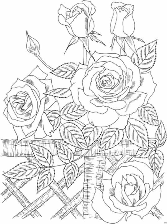 real artist coloring pages - photo #7