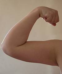 triceps triceps