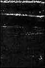 + Le bulli (fran�ois) (+ cd)
