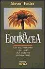 La equinacea: un estimulante natural del sistema inmunitario