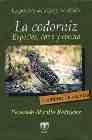 + La codorniz: especies, caza y cocina