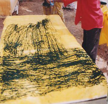 Secado de spirulina