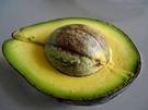 palta