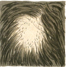 Caída del cabello