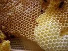 Cera de abejas