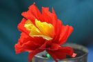 Flor de papel barrilete