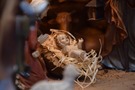 divinoniño