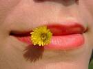 Labio