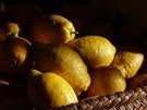 Limones