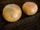 lucuma