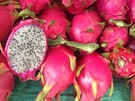 dragon fruit