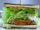 sandwich