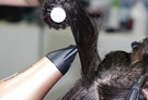 Secador de cabello