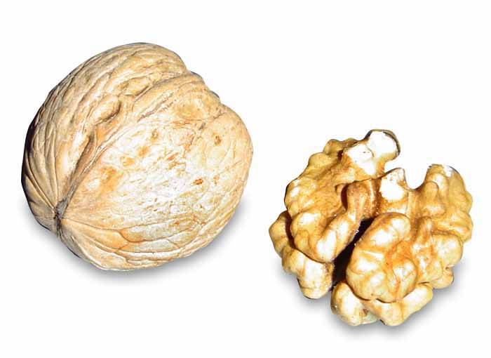 Nueces