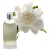 Esencia Arom&aacute;tica De Gardenia.