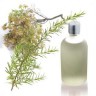 Esencia Aromática De Romero.