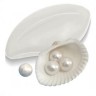 Perlante Blanco 50 Ml.