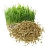 Grama, Ra&iacute;z Cortada (cultivo Eco), 100gr.