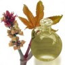 Aceite De Castor (castor Oil)