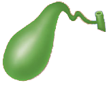 Alimentos Prohibidos Pancreatitis